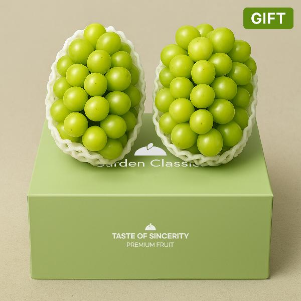 Premium High-Sugar Shine Muscat Gift Set 1.3kg+ (650g+ / 2 bunches) product image