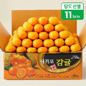 High-Sugar Jeju Direct Tyvek Tangerines 9kg (Royal Grade / 11 Brix) item image