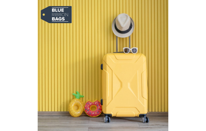 Blue Ribbon Bags (Lost Baggage Service) brand image
