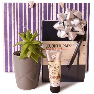 Wellness Desk Trio product image