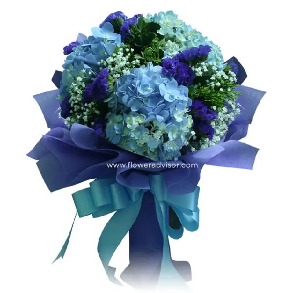 Hydrangea Bloomer item image