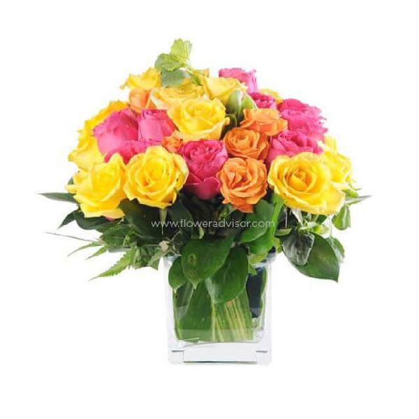 The True Color product image