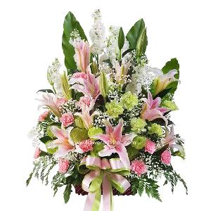 Paradise Island product image