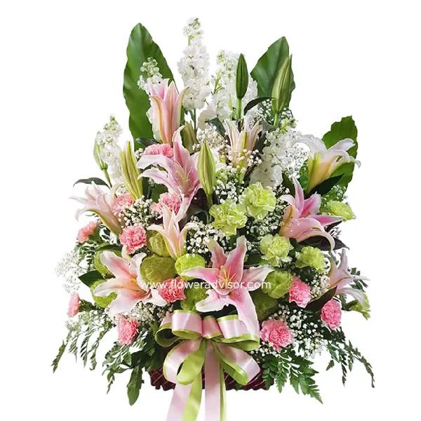 Paradise Island product image