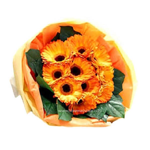 Cheery Blooms product image