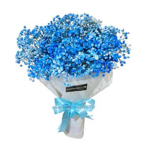 Ocean Dream product image