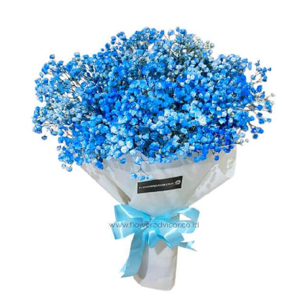 Ocean Dream product image