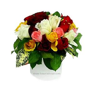 Bed of Beauty product image