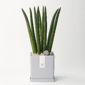 Stuckyi Modern Line No.1 item image