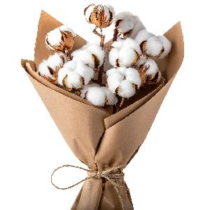 Cotton Blossom Holiday Bouquet product image