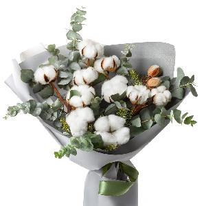 Cotton Cloud Elegance product image