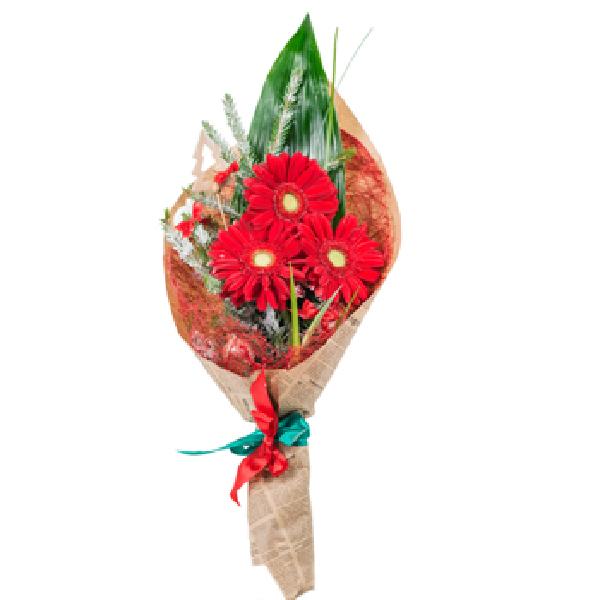 Red Holiday product image