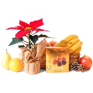 Fruity Poinsettia and Chocolates item image