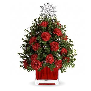 Amazing Holiday Carnations item image