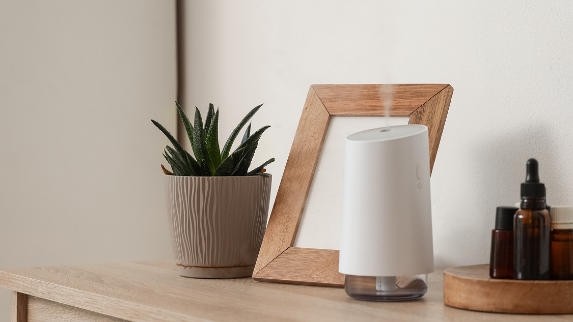 ZOJI RUSHI brand image