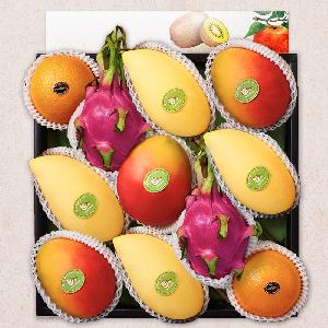 Premium No.4 Mixed Fruit Gift Set (Approx. 4.3kg) item image