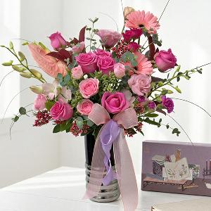 Dabokrok Set (KGC Seoul) item image