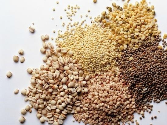 Grains thumbnail image