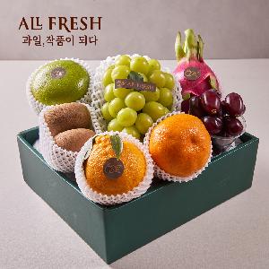 With Complimentary Message Card Premium Fruit Gift Set Seasonal Fruits No.3 product image