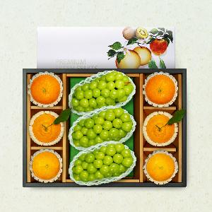 Premium Shine Muscat, Hallabong, Red Hyang & Cheonhyehyang Mixed Gift Set [9 pcs] product image