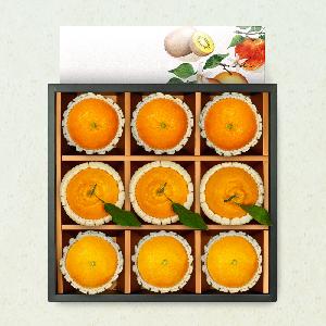 Premium Hallabong, Red Hyang & Cheonhyehyang Mixed Gift Set product image