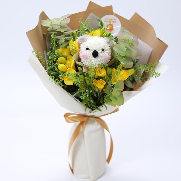 Freesia Koala product image
