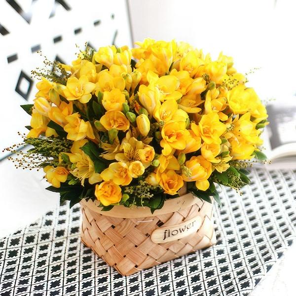 Romantic Freesia_F product image