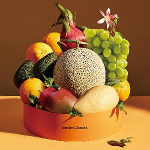 “Bojagi Packaging” Premium Mixed Fruit Gift Premium No.2 (Approx. 5.3kg / 12 pcs) product image