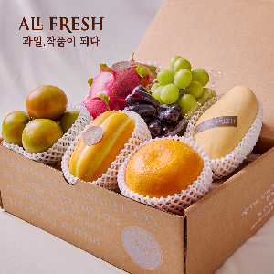 With Complimentary Message Card Premium Fruit Gift Set Seasonal Fruits No.2 product image