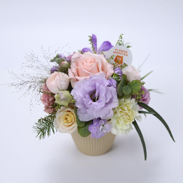 Miss Holland item image