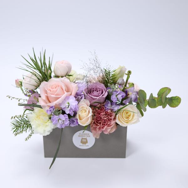 Cosni Viola product image