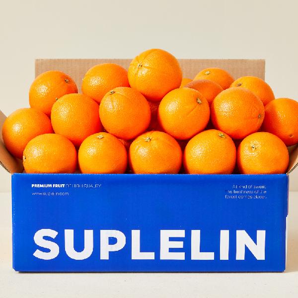 Sweet and Tangy High-Brix Oranges Ripened in Warm Sunshine 4kg (16~20 pcs) item image
