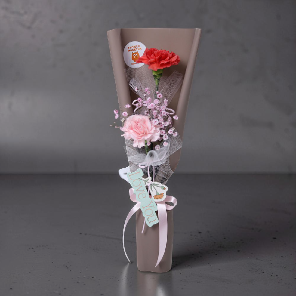 Love Love Carnation item image