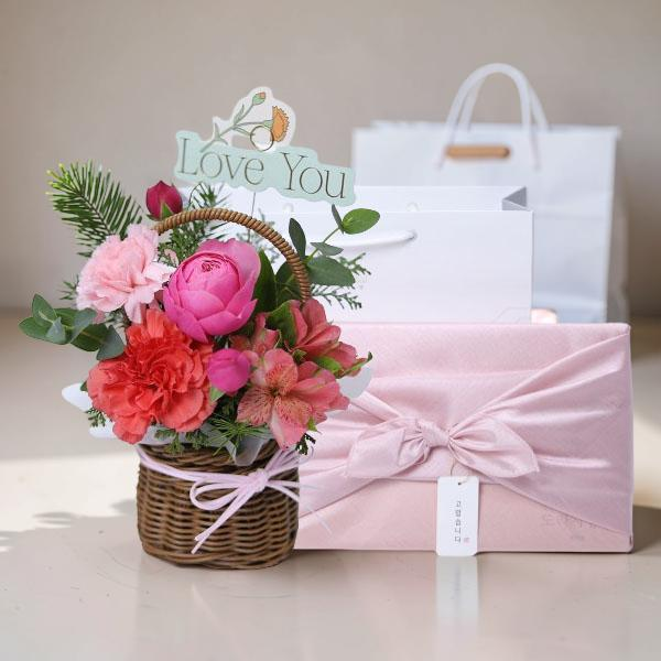 Tasha Carnation+Bellflower Root Jeonggwa 300 product image