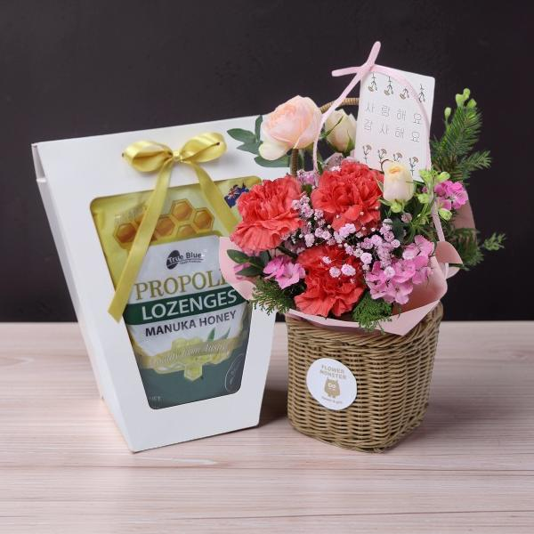 Floria Carnation+Propolis product image