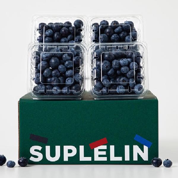 Fresh Superfood Blueberries, 400g Total or More (100g*4 Packs) product image