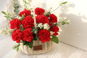 Fresh Carnation Flower Basket Red Medium product image