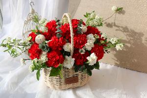 Fresh Carnation Flower Basket Red Large product image