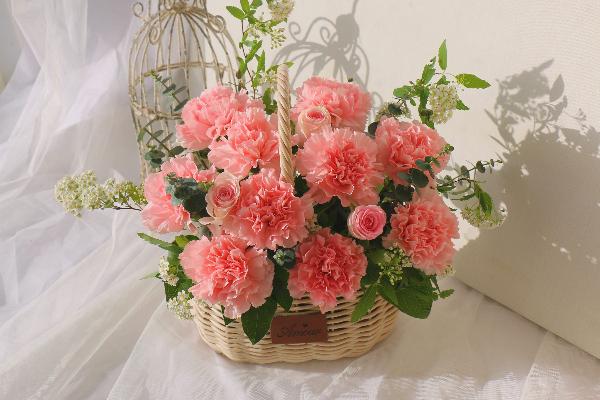 Fresh Carnation Flower Basket Pink Medium item image