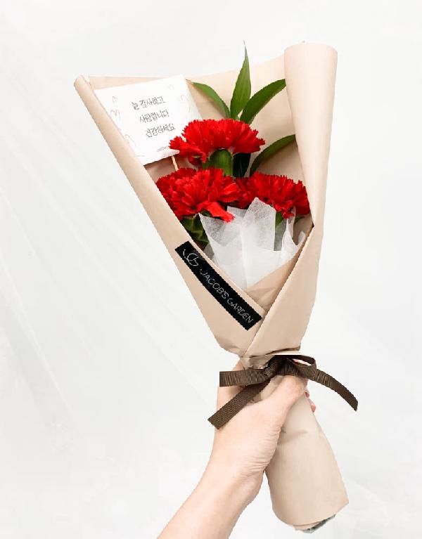Fresh Carnation Mini Bouquet Red product image