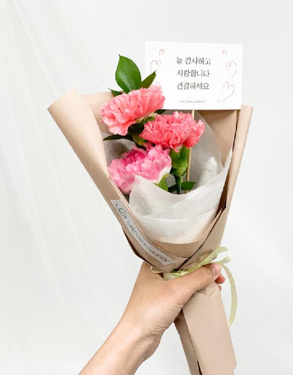 Fresh Carnation Mini Bouquet Pink product image