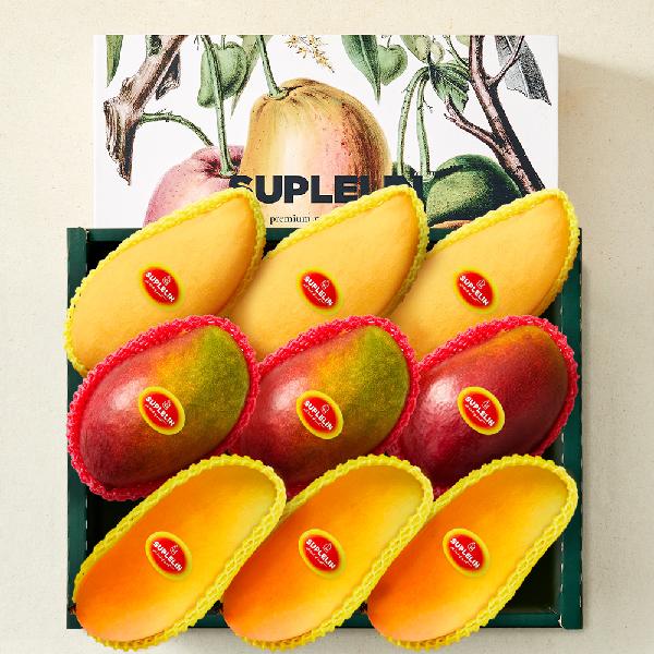 ART GIFT 3-Mango Variety Mixed Gift Set Apple Mango & Thai Mango & Maha Chanok, Total 3.3KG or More (Royal Grade/9 pcs) product image