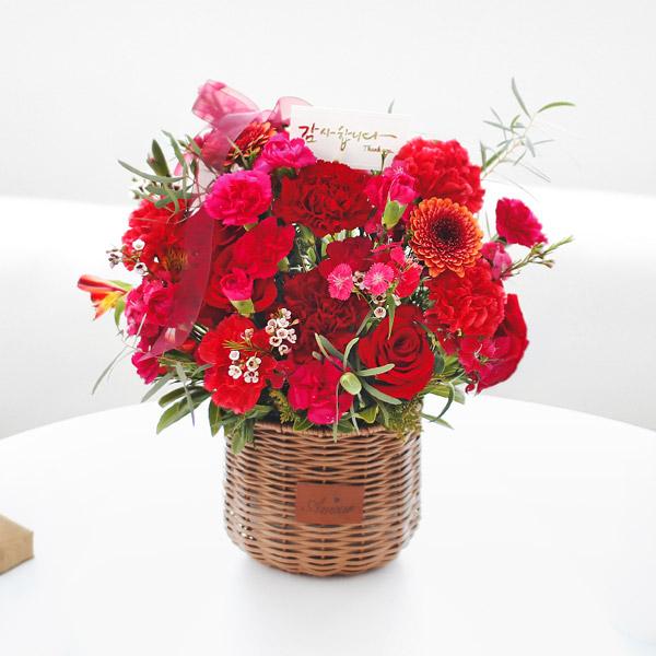 Carnation Love item image
