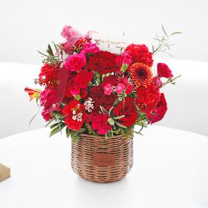 Carnation Love product image