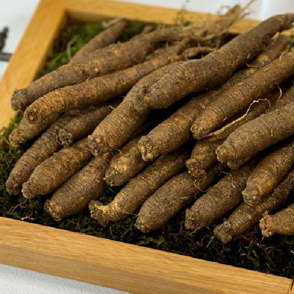 Fresh Hoengseong Soil-Grown Deodeok 3-Year-Old 1kg Special Grade (20~30 Roots) product image
