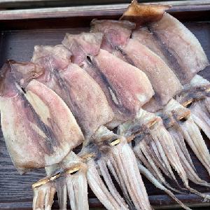Guryongpo Semi-Dried Squid 5 pcs(450~500g) product image