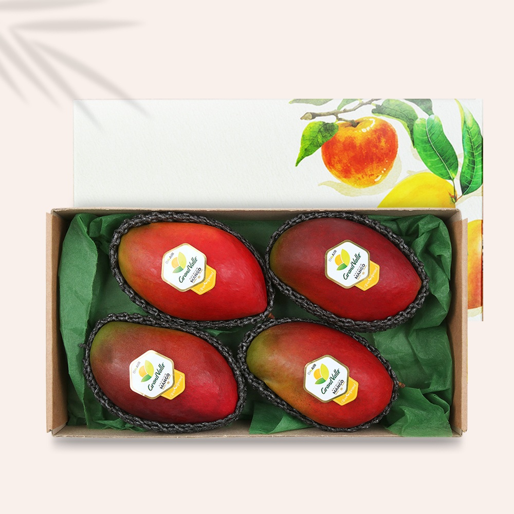Apple Mango Gift Set approx. 1.7kg [4 pcs] In South Korea Daddy's