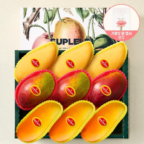 ART GIFT 3-Mango Variety Mixed Gift Set Apple Mango & Thai Mango & Maha Chanok, Total 3.3KG or More (Royal Grade/9 pcs) product image