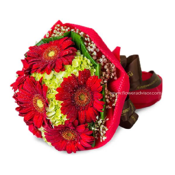 Sincere Heart product image