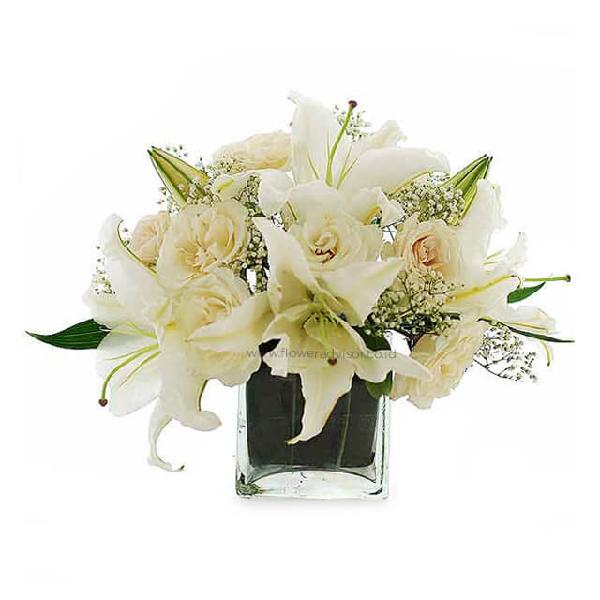 Crystal Glamourous product image